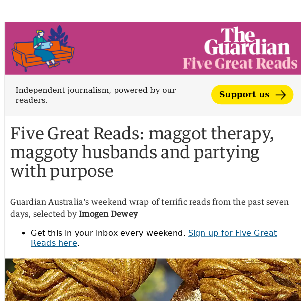 Five Great Reads: maggot therapy, maggoty husbands and partying with purpose