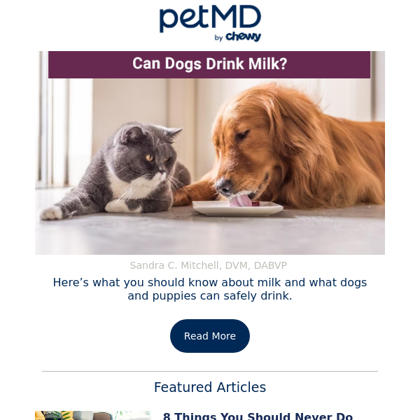 Can Dogs Drink Milk?