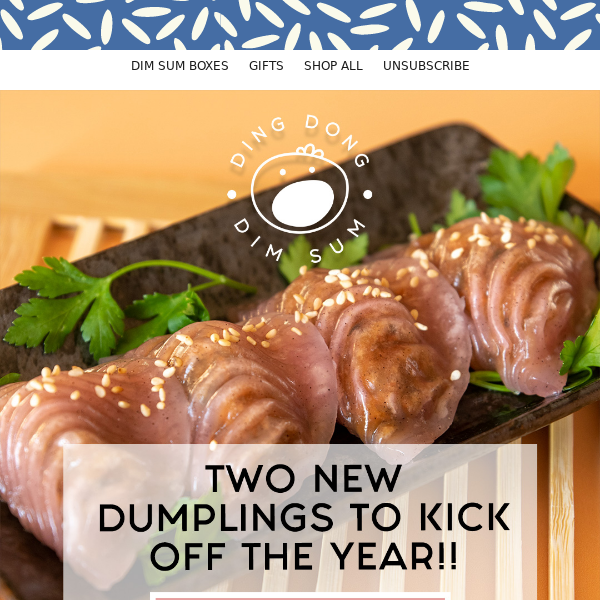 Introducing Our Delicious New Dumplings!