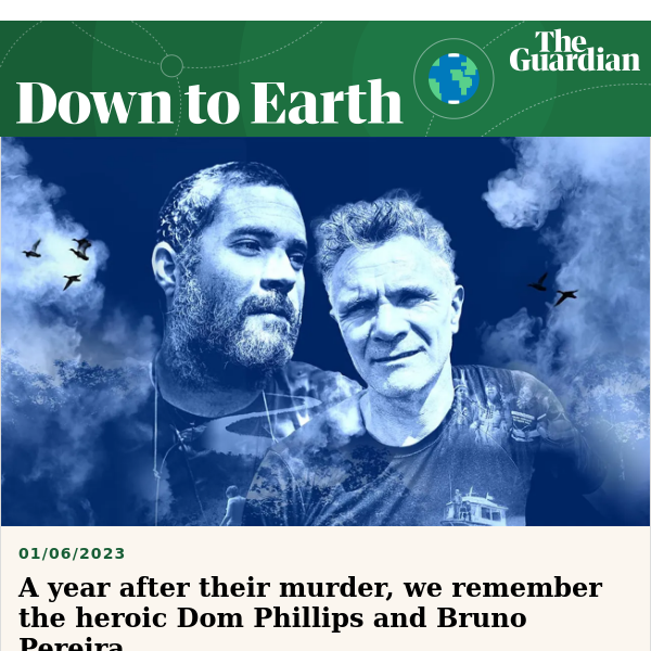 Honouring Dom and Bruno, one year on | The Guardian