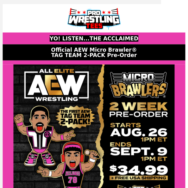 The Acclaimed (Micro Brawlers® Pre-Order) Have Arrived - Pro Wrestling Tees