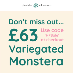 🌿 Reminder... £63 Variegated Monstera 🌿