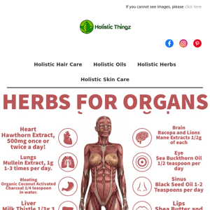 🌿Herbs for Organs 🌿