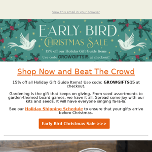 Early Bird Christmas Sale | TLM Newsletter