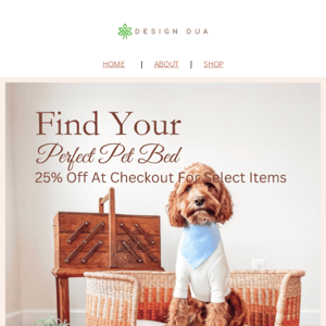Find Your Perfect Pet Bed