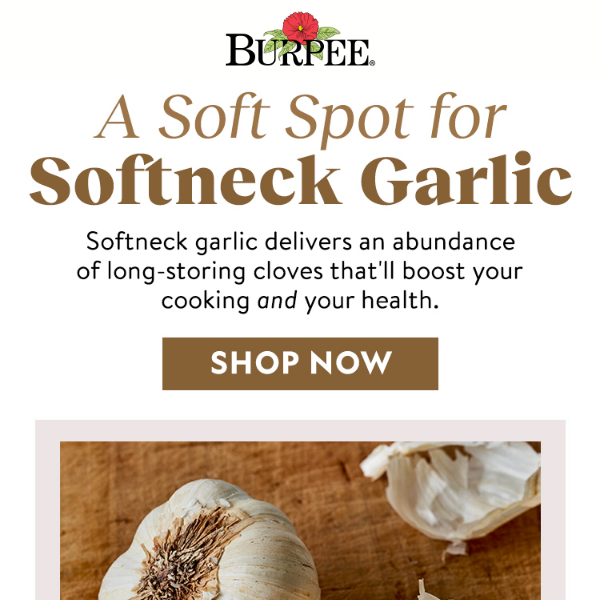 You can grow garlic!