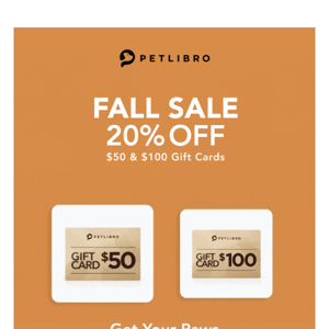 Pounce on Fall Savings 🍁