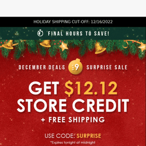 Ends Today! $12.12 Store Credit 🎄