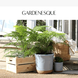 Get Creative! Our Favourite Pots & Planters Combos