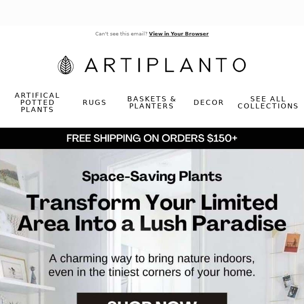 🌿 Discover the Enchantment of Plants in Your Compact Area Artiplanto