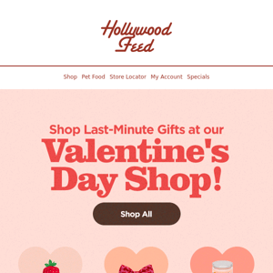 20% Off Valentine's Day Toys! 💕😻