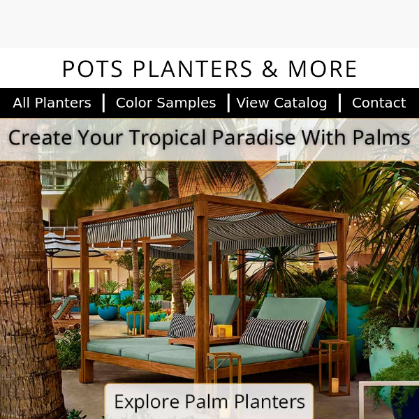 Create Your Tropical Paradise With Palms