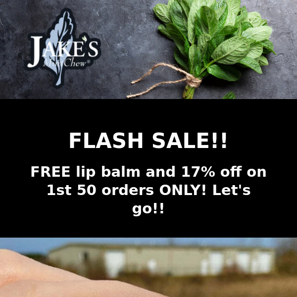 Boring Thursday Flash Sale!  Free Lip Balm and 17% off with first 50 orders!