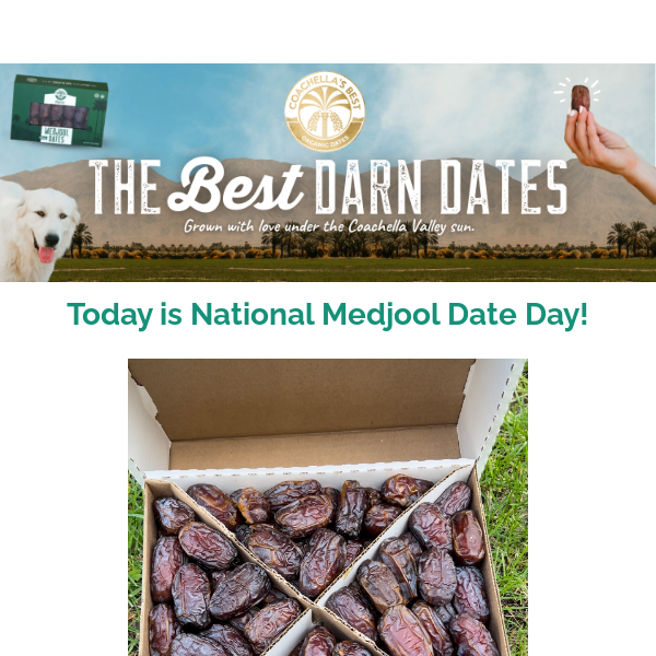 Happy National Medjool Date Day🎉🎉