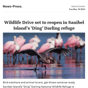 News alert: Wildlife Drive set to reopen in Sanibel Island’s ‘Ding’ Darling refuge