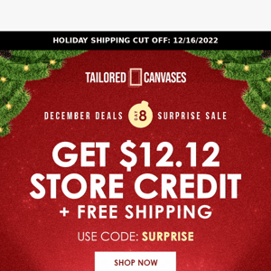 Day 8 Deal: Claim your $12.12 Store Credit 🎄