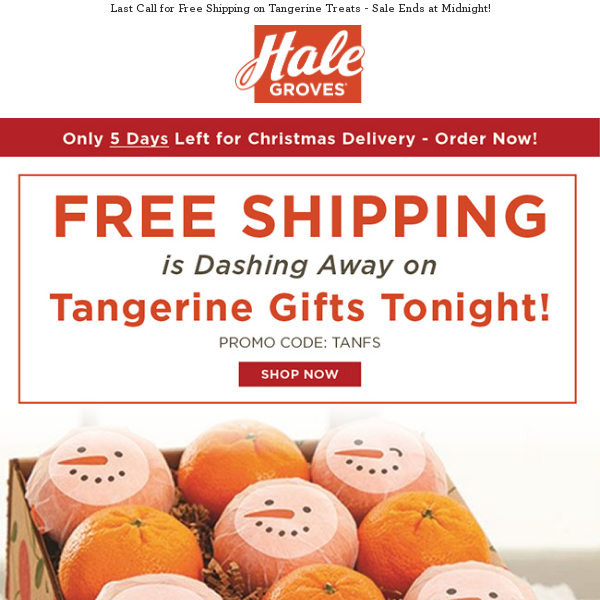 🍊 FREE Shipping is Dashing Away on Tangerine Gifts Tonight! 🎄