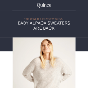 They’re back!  Baby alpaca sweaters