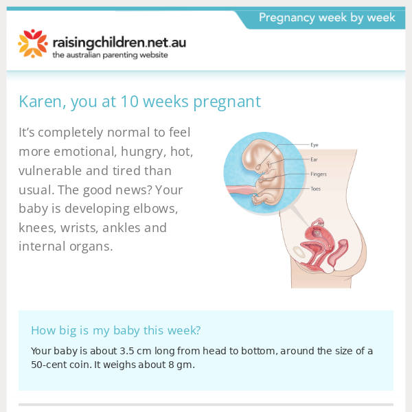 Your pregnancy at 10 weeks - Raising Children Network
