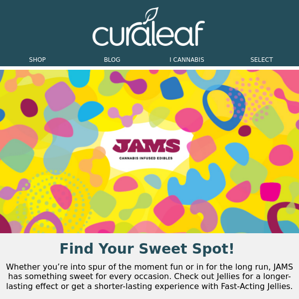 Hit Your Sweet Spot with New JAMS!