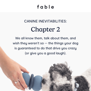 Dog Guarantees Chapter 2 💻