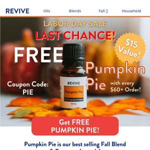 [LAST CHANCE] FREE Pumpkin Pie ($15 Value)! 🇺🇸