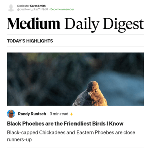 Black Phoebes are the Friendliest Birds I Know | Randy Runtsch