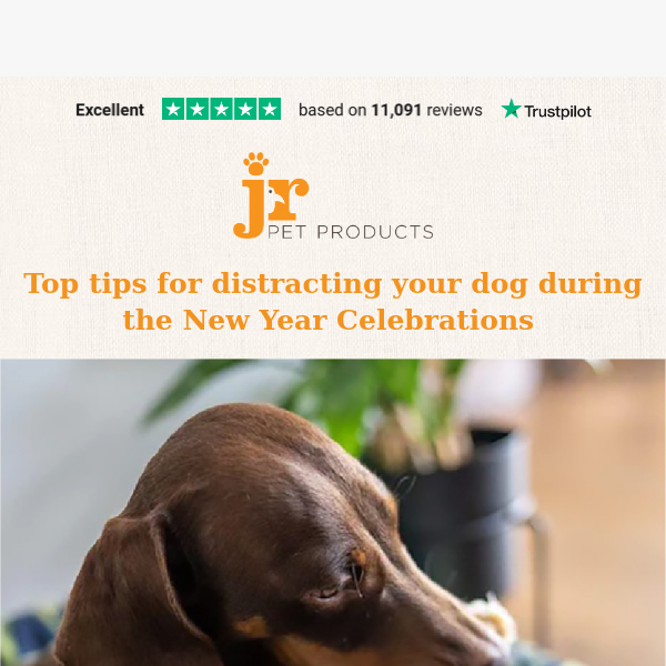 Top Selling Long lasting Chews to distract your dog this New Years Eve!