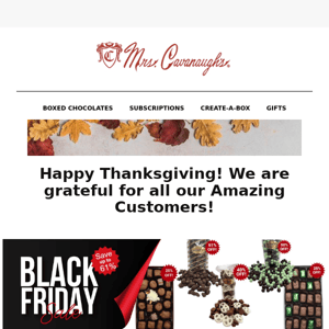 Happy Thanksgiving! Check out our sale to show how much we appreciate our customers!