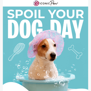 🐶 Iconic Paw: Time to Spoil Your Dog! 🐶