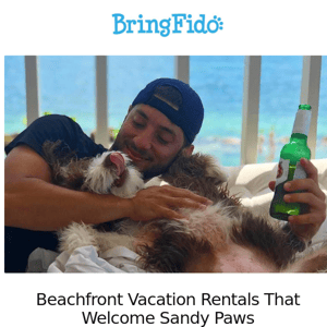 Beachfront Vacation Rentals That Welcome Sandy Paws