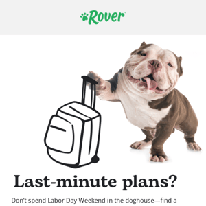 Say yes to last-minute plans with Rover