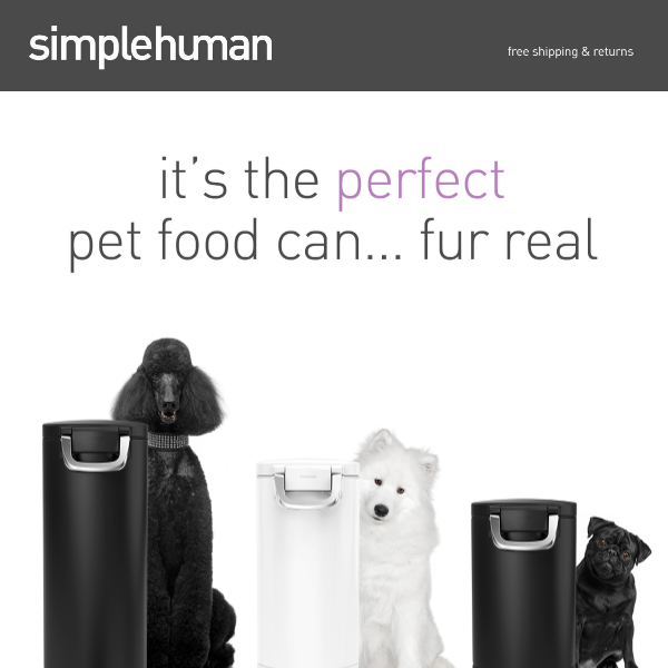 Your pet's new best friend