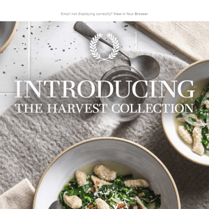 Introducing: The Harvest Collection 🌾