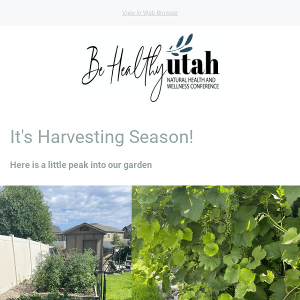 Be Healthy Utah Newsletter