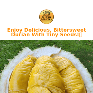 Enjoy Delicious Durian with Tiny Seeds This Hari Raya!🤤