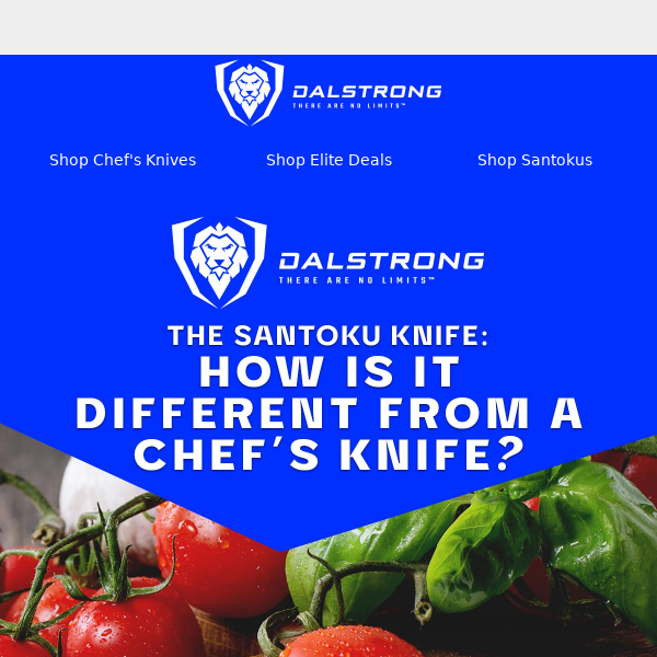 Santoku vs Chef's Knife : Which is better? - Dalstrong