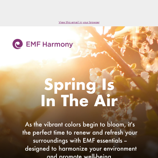 Spring Clean Your EMF Exposure