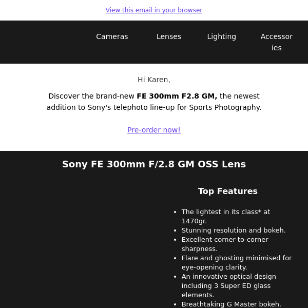 New Sony FE 300mm f/2.8 GM Lens and Alpha 9 III Global Shutter Camera