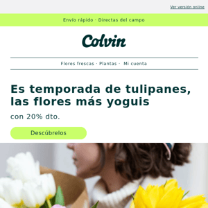 Los tulipanes ya están aquí con -20%? - The Colvin Co
