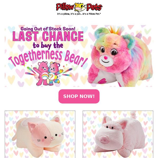 LAST CHANCE! 😍 Togetherness Care Bear!
