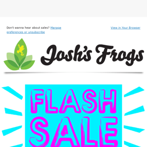 LAST CALL to get dart frogs for 25% OFF!