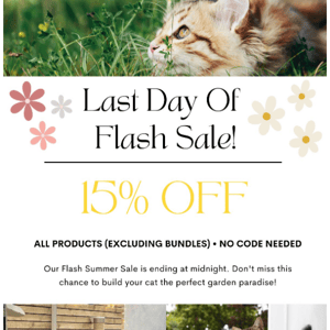 Last Day Of Flash Summer Sale! 🌻
