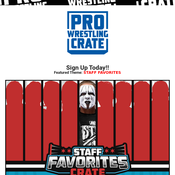 Pro Wrestling Tees AEW Micro Brawlers CM Punk (Chicago Edition) Vinyl  EXCLUSIVE