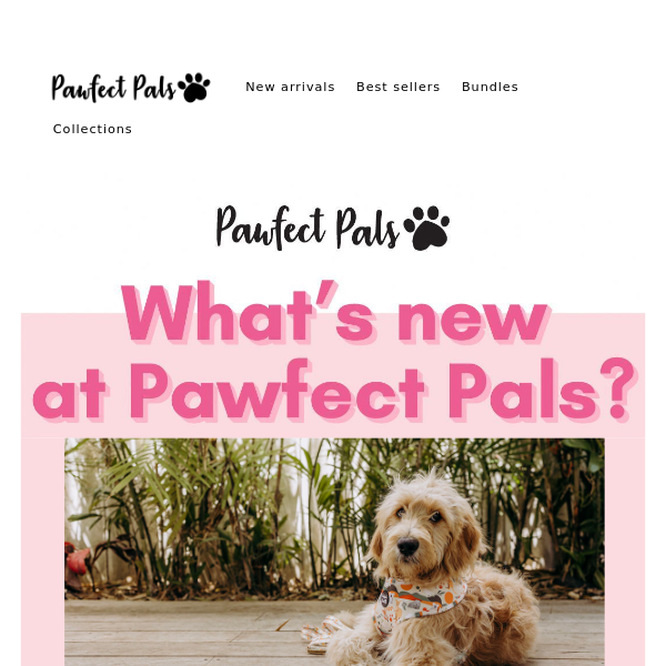 Discover what's new at Pawfect Pals 🌈🤩🐶