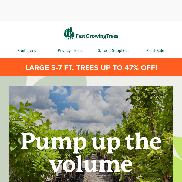 Fast Growing Trees, do you want to save on growth time?