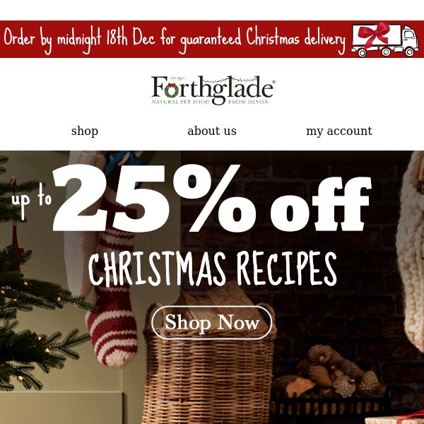 Last Chance ‼️ 25% OFF Christmas recipes 🎄