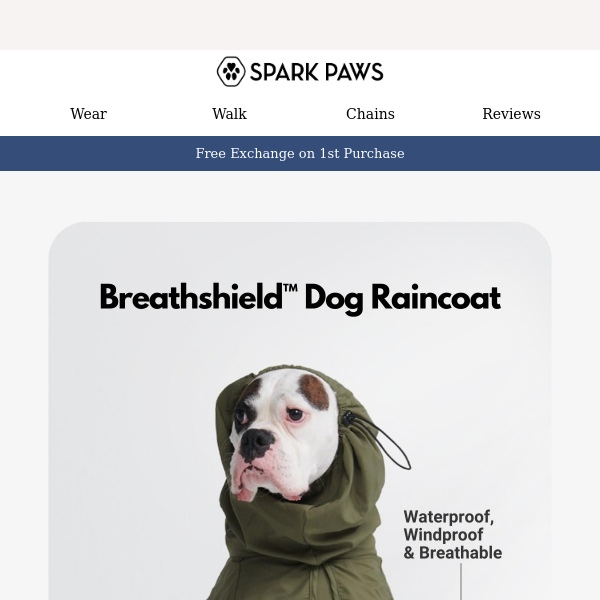 Design Meets Function: Dog Products Reimagined