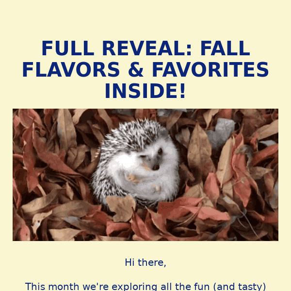 🍂 Fall Vegan Boxes: Full Reveals 🍂