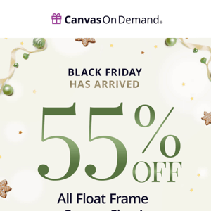 Kick off Black Friday with 55% off ALL Floating Frames!